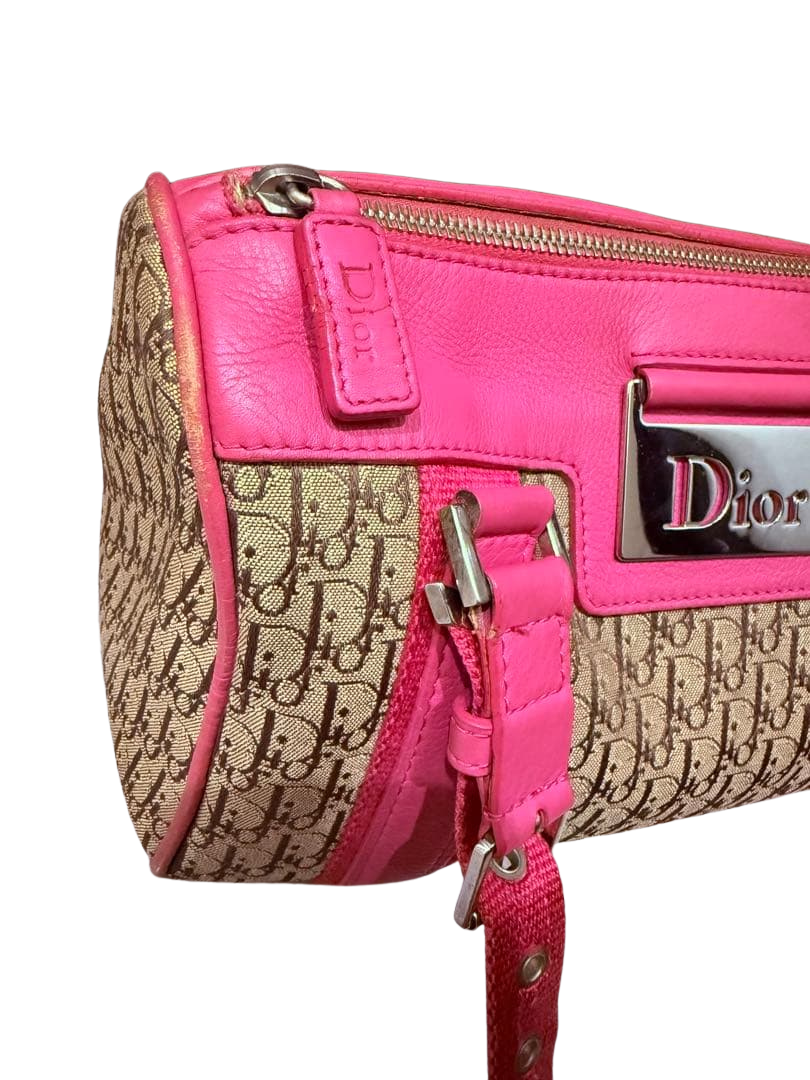 DIOR TROTTER BAG