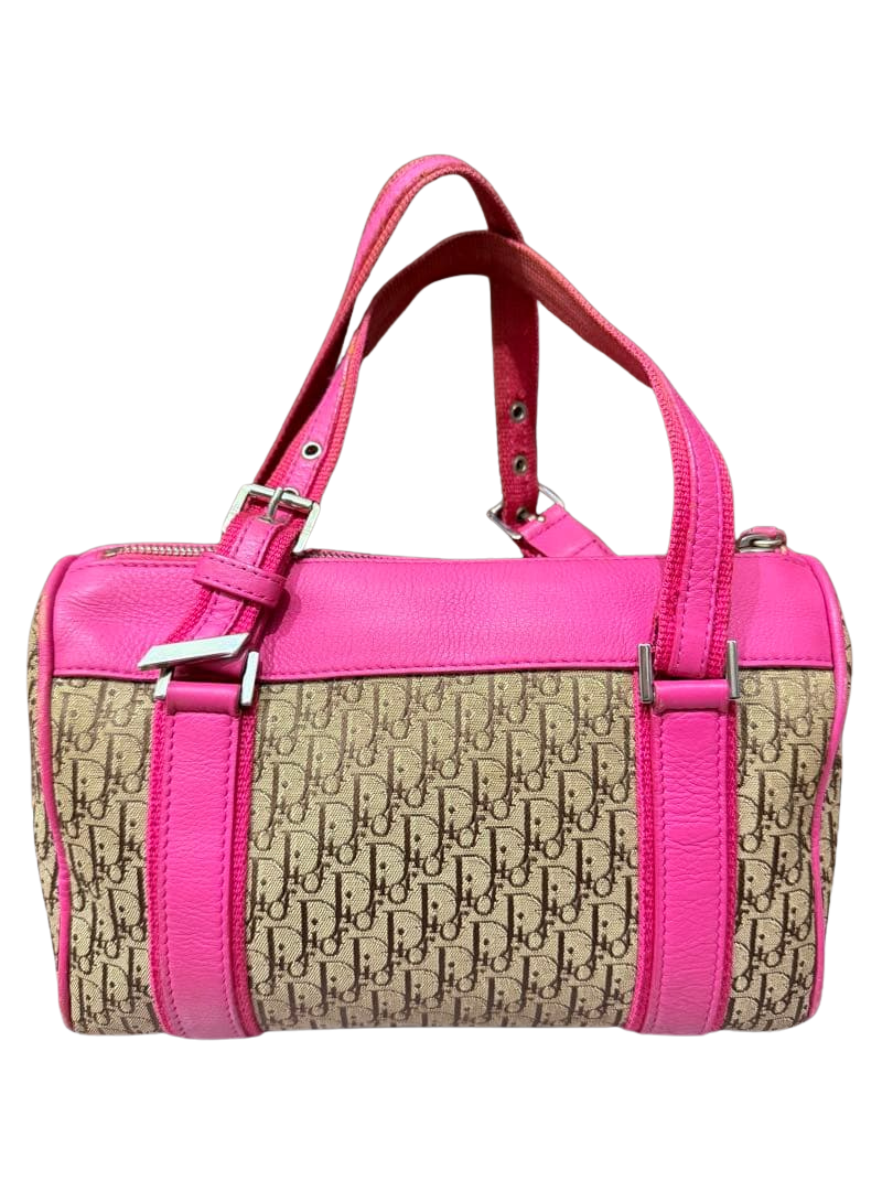 DIOR TROTTER BAG