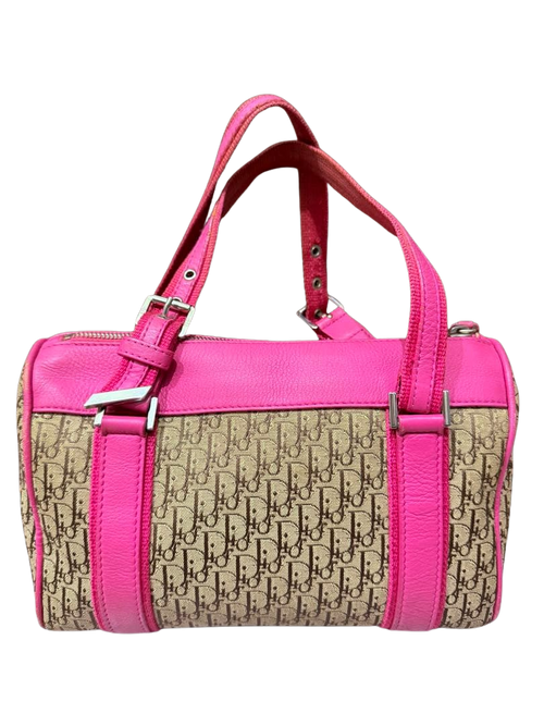 DIOR TROTTER BAG