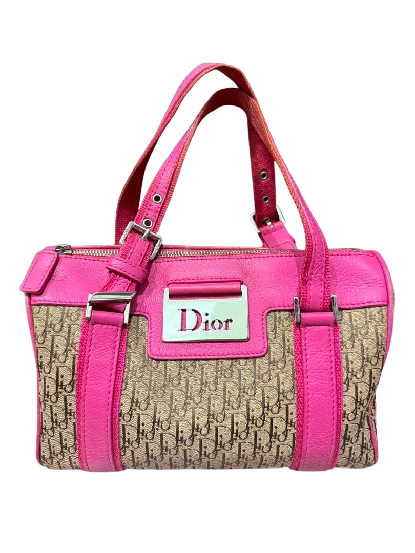 DIOR TROTTER BAG